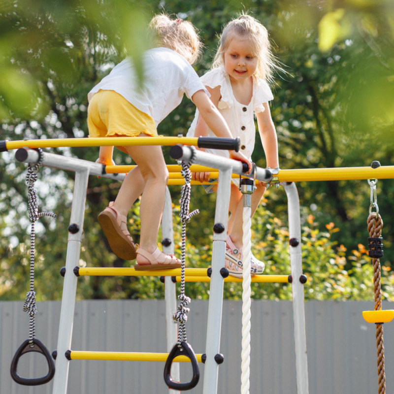 Romana Лесная поляна-3-PRO Детский спортивный комплекс для дачи (Комплект №2) в Астрахани ВИНКО