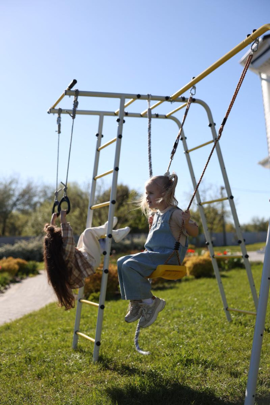 Детский спортивный комплекс для дачи ROMANA Лесная поляна - 3 в Астрахани ВИНКО