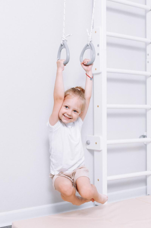 Домашний спортивный комплекс «Шведская стенка ROMANA Eco2.1» в Астрахани ВИНКО