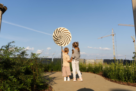 Диск оптических иллюзий ELMAF 314897