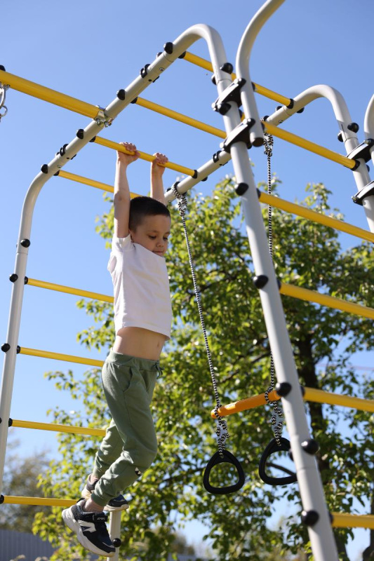 Детский спортивный комплекс для дачи ROMANA Веселая лужайка - 2 в Астрахани ВИНКО