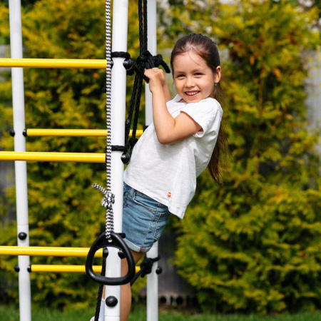 Детский спортивный комплекс для дачи ROMANA Богатырь Плюс 2 MAX в Астрахани ВИНКО