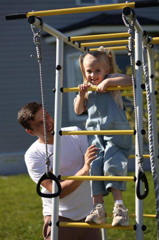 Детский спортивный комплекс для дачи ROMANA Лесная поляна - 3 в Астрахани ВИНКО