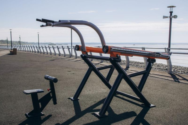 Тренажер Тяга сверху Romana 211.05.00