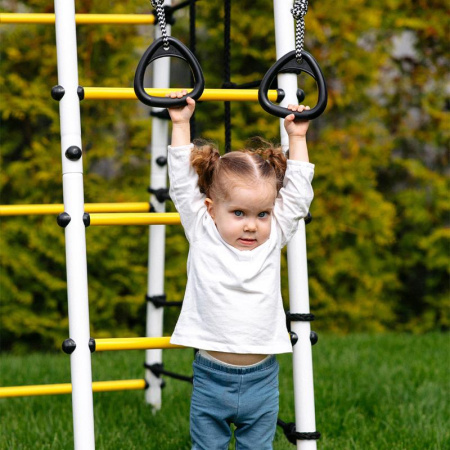 Детский спортивный комплекс для дачи ROMANA Богатырь Плюс 2 MAX в Астрахани ВИНКО