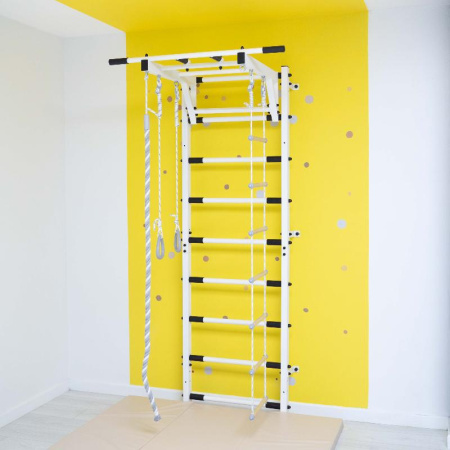 Спортивный  комплекс усиленный + ROMANA