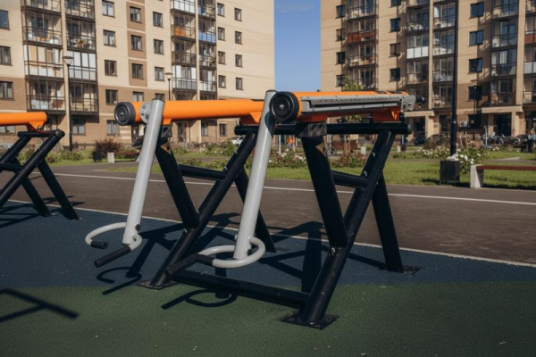 Тренажер Тяга к поясу стоя Romana 211.07.00