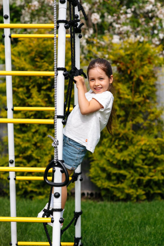 Детский спортивный комплекс для дачи ROMANA Богатырь MAX в Астрахани ВИНКО